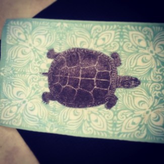Turtle fun