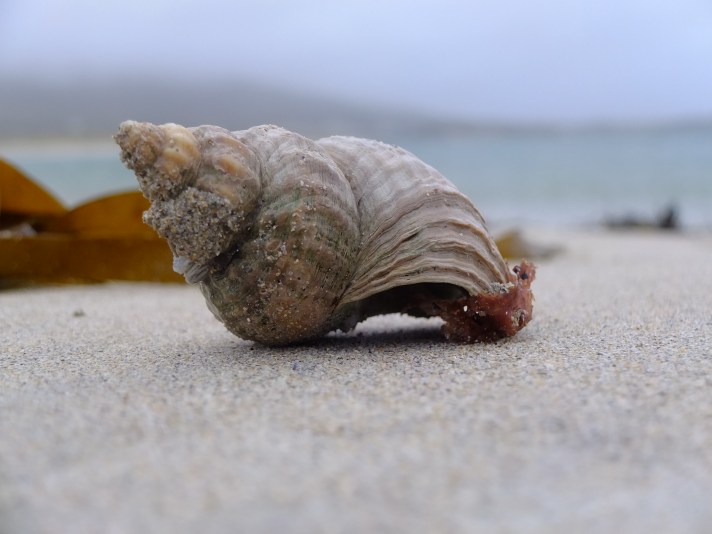 Nice rainy day for a walk on the beach